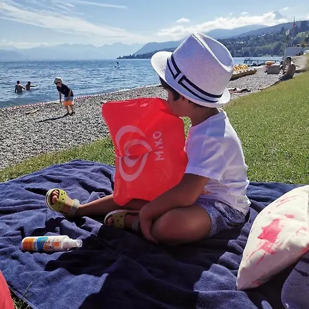 Scène Du Léman Evian Les Bains Appartement
