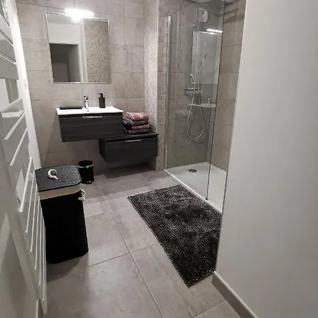 Scène Du Léman Evian Les Bains Appartement Neuvecelle